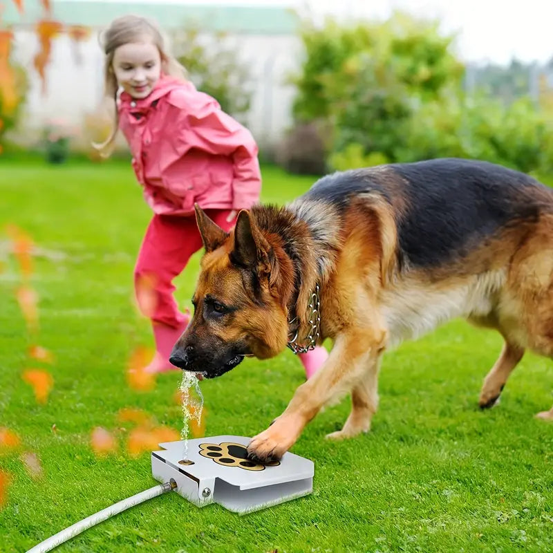 Step On Easy Paw Activated Dog Fresh Drinking Water