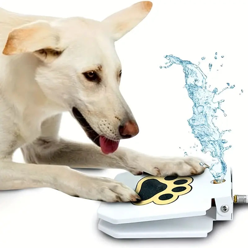 Step On Easy Paw Activated Dog Fresh Drinking Water